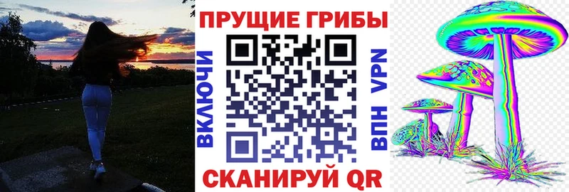 Галлюциногенные грибы Psilocybe  купить наркотик  Гагарин 